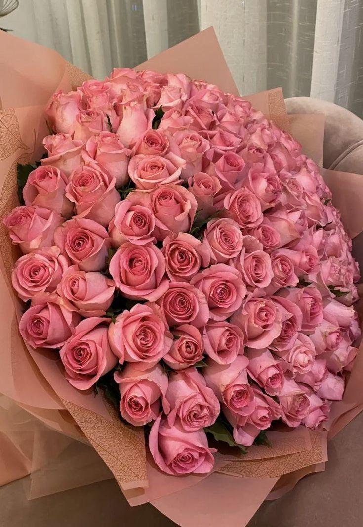 Velvet Petal Symphony in Pastels